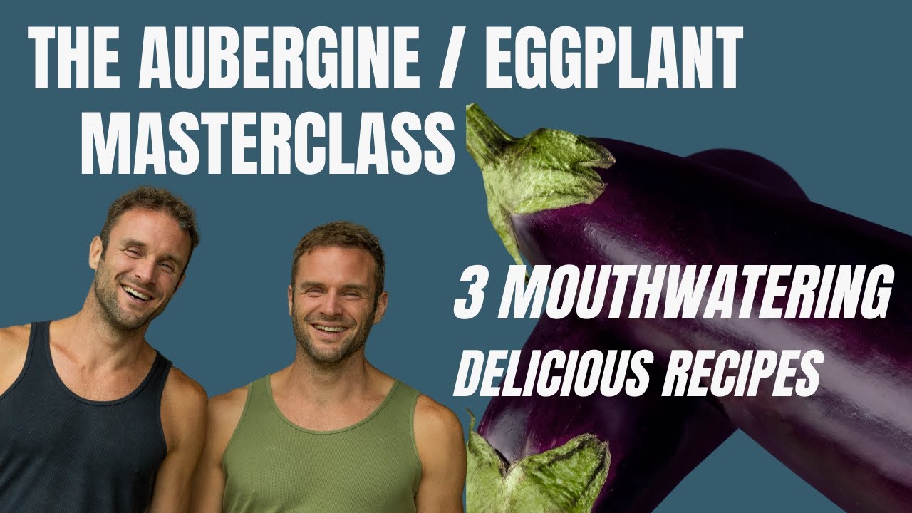 Aubergine Recipes / eggplant recipes YouTube