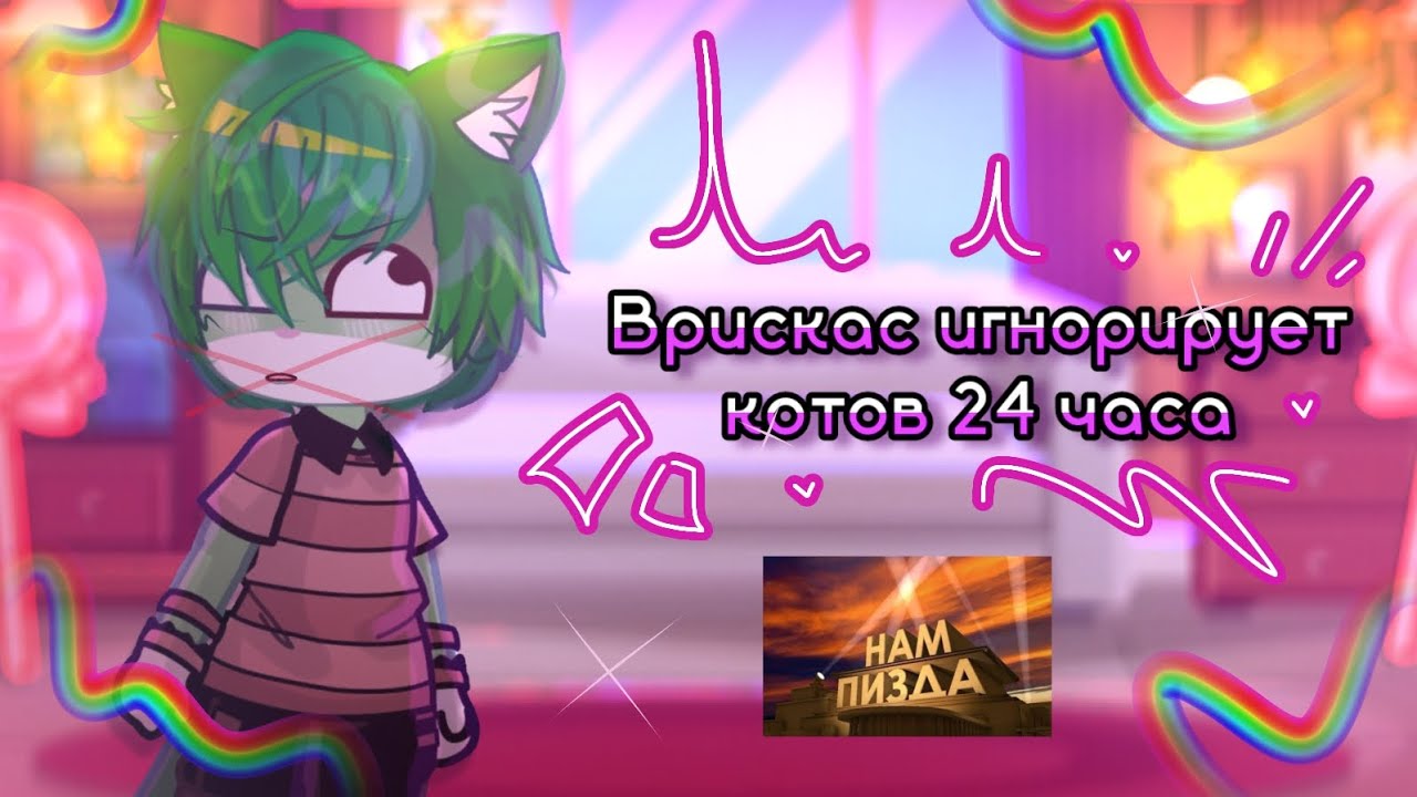 врискас игнорирует котов 24 часа челлендж