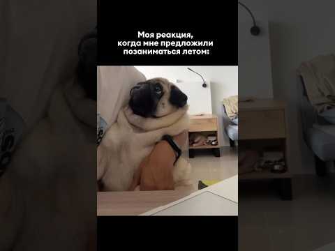 Хочешь? 🤣 #огэ #история #мем #жиза #репетиторскаяимперия #юмор #лето #пов #shorts