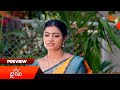 Bhairavi - Preview of the day | Watch full EP Sun NXT | 28 Apr 2026 | Sun Gemini