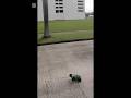 #getracingschool #traxxas Mini Maxx 3s fixed & speed test #rccars #rc