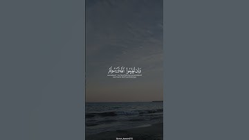 تلاوة هادئة تريح القلوب #ماهر_المعيقلي #سورة_الحجرات #قرآن #لايك #quran #مكة #اكسبلور #راحة_نفسية