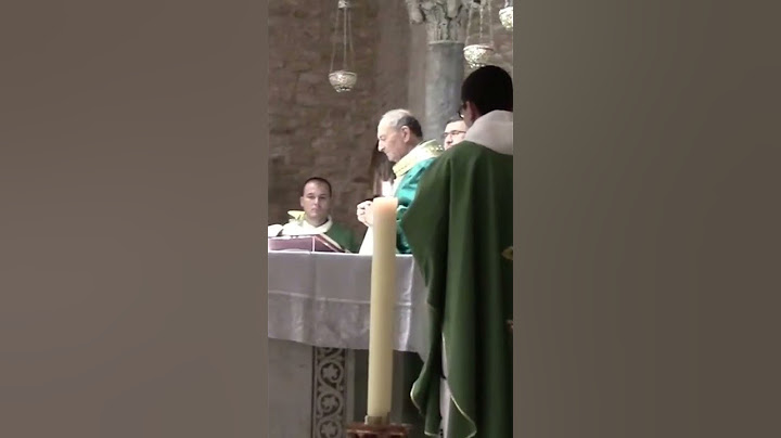 live catholic holy mass online today⛪️ santa misa católica en vivo en línea hoy #sacerdotecatolico