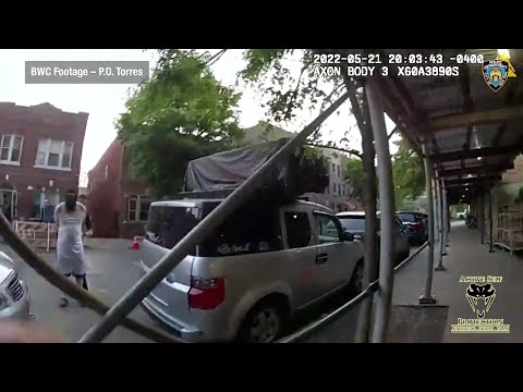 Man Walks The Streets Of New York Brandishing A Firearm