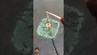 crazy #fishing #trick