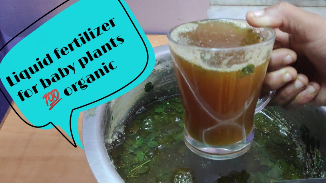 Organic Liquid Fertilizer Best Fertilizer Foe Baby Plants తేడా మీకే