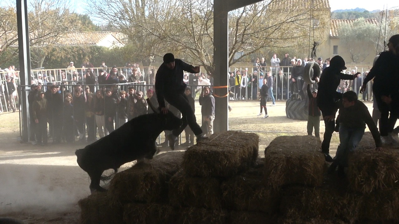 💥COURSE AU PLAN-MAS BLANC-15/02/06🐂