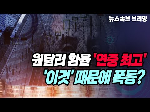 뉴스속보 원달러 환율 연중 최고 이것 때문에 폭등 정완진TV 