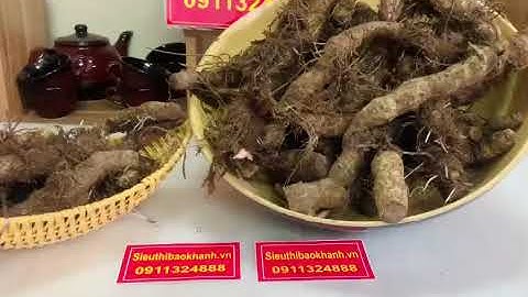 TỨN KHỬN NGÂM RƯỢU BỔ THẬN TRÁNG DƯƠNG TĂNG CƯỜNG SINH LỰC CHO NAM GIỚI - Hotline 0828397333