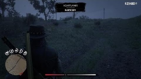 RDR2 fall through map glitch