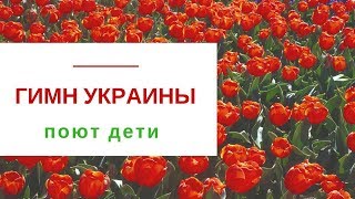 💙 Гимн Украины Поют Дети 💛