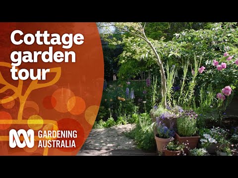 Video: Bicolor Garden Schemes - yhdistää kaksivärisiä puutarhoja