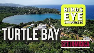 A Breathtaking Escape to Turtle Bay Cove, Portland, Jamaica