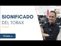 Significado de la cavidad toraxica y sus órganos