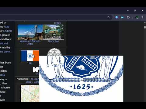 PicZoomer video preview 2