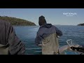 Port to plate crabbing with ant in port stephens