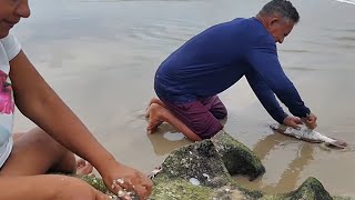 MUITO PEIXE FRITO NESSA AVENTURA A BEIRA MAR!