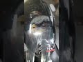 Pulsar Bike Baaz Sticker #eagle #dhimanarts #sidhumoosewala #pulsar #sidhumoosewalanewsong #video