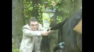 Bud Bindi Gangster Podnikatel zabavne video best funny idiot