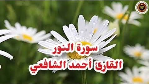 سورة النور كاملة تلاوة عطرة بصوت القارئ أحمد الشافعي