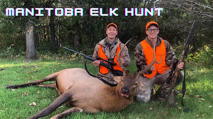 Manitoba ELK Hunt (SUCCESS)
