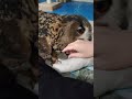 【フクロウ】ホッとしました