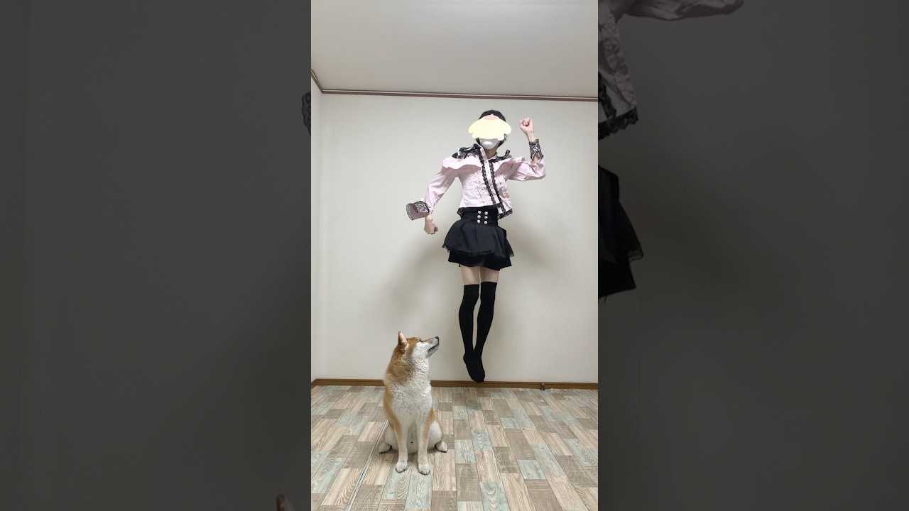 毒親に育てられた柴犬こまちゃん。#shorts