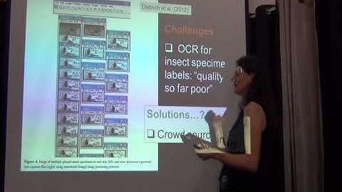 BITC / Data Capture - Data Capture Strategy - 3