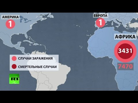 Video: Ministarstvo Zdravlja Odbilo Testiranje Na Ebolu &#91;svi Afrikanci U Rusiji&#93;