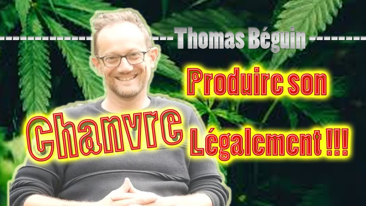Comment produire son chanvre en France (et pourquoi) !
