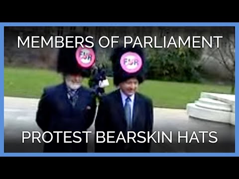 Members of Parliament Protest Palace Guards' Bears...