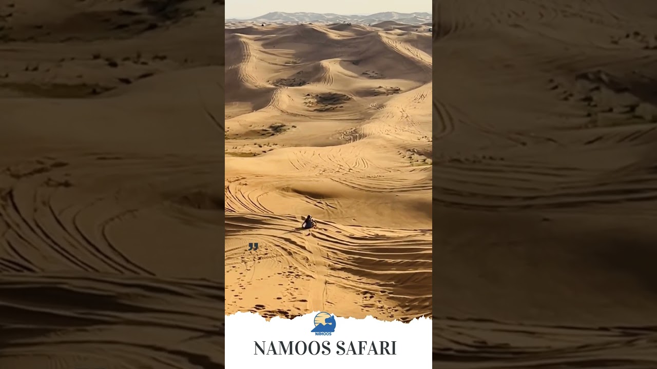 🏂 Slide into adventure on the golden dunes of Dubai! Experience the thrill of sand sliding with N