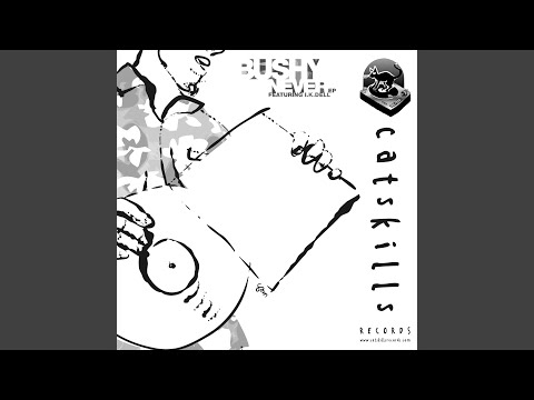 Bushy — Never (Radio Edit)