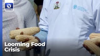 Adamawa Govt, FOA Raise Concerns Over Looming Food Crisis