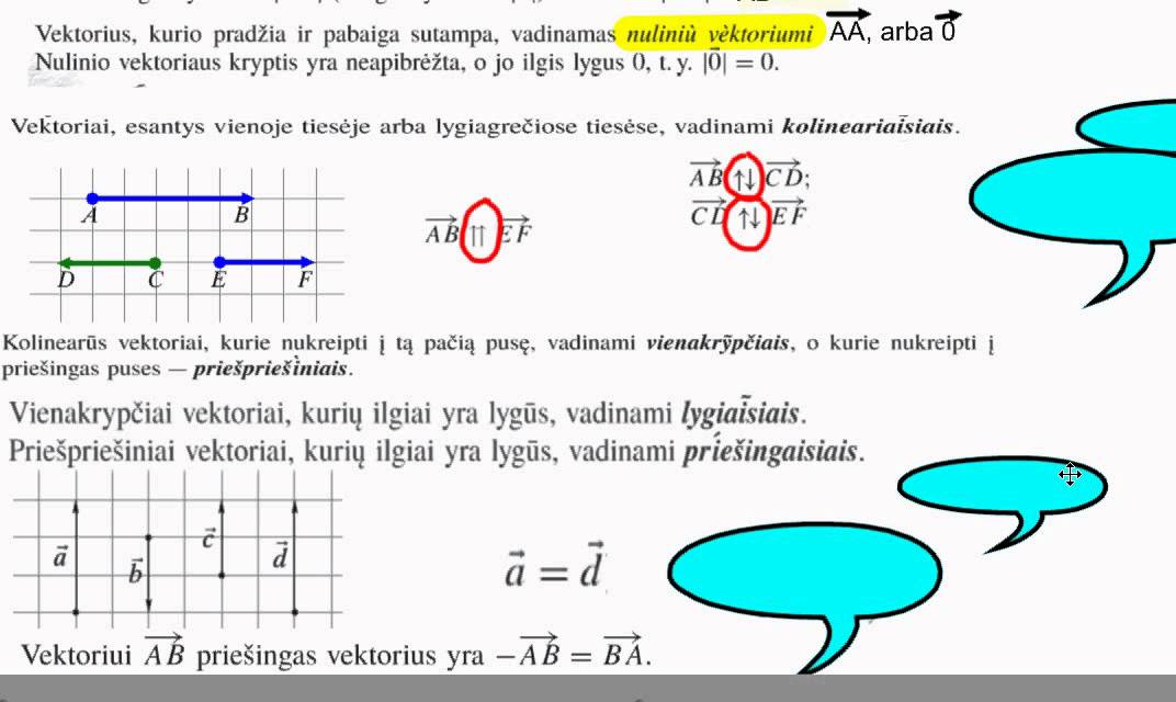 Nuostolių svorio vektorius. Neuroniniai tinklai