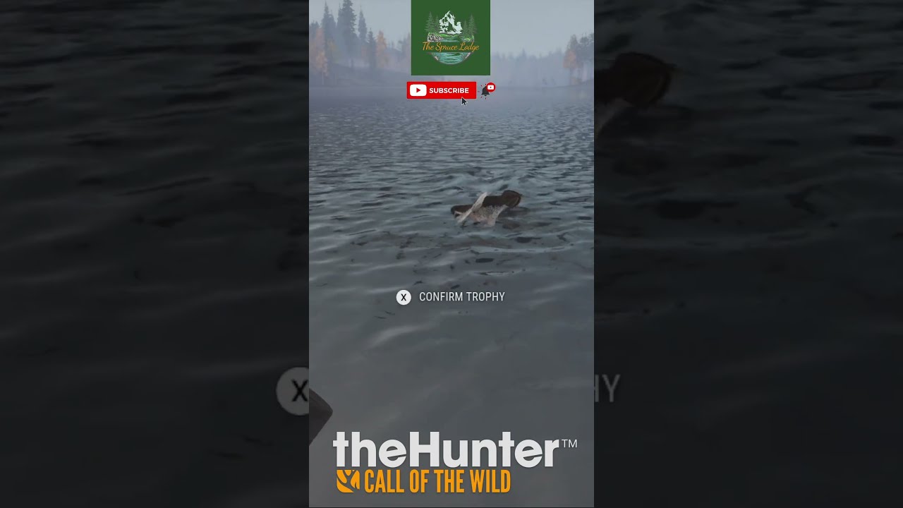 Hazel Grouse took a swim | TheHunter Call of the Wild