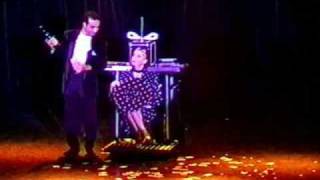 Paladino Magic Illusion "The Heads Off".