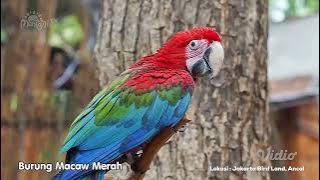 Download lagu Station ID Mentari TV (2023) [3]