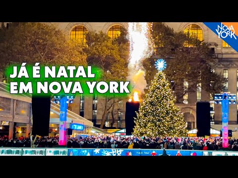 Vídeo: Onde ver o Papai Noel em Nova York