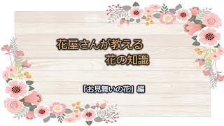 花屋さんが教える。「お見舞いの花」編