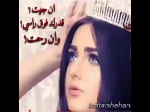 شيلة و ان جيت قدرك فؤق الراس