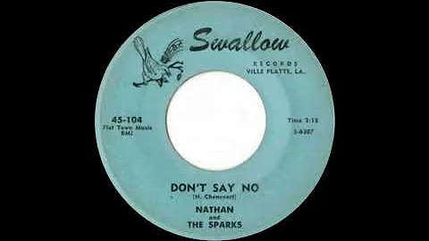 Nathan and the Sparks - Dont Say No