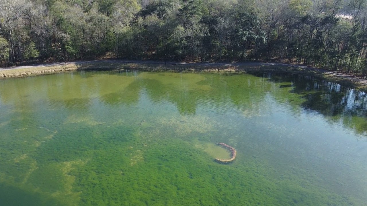 Tom Triplett Park flight 1-6-2022
