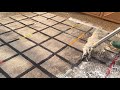 Scraping dirty water off carpets Compilation Pt. 15 || Satisfying Video