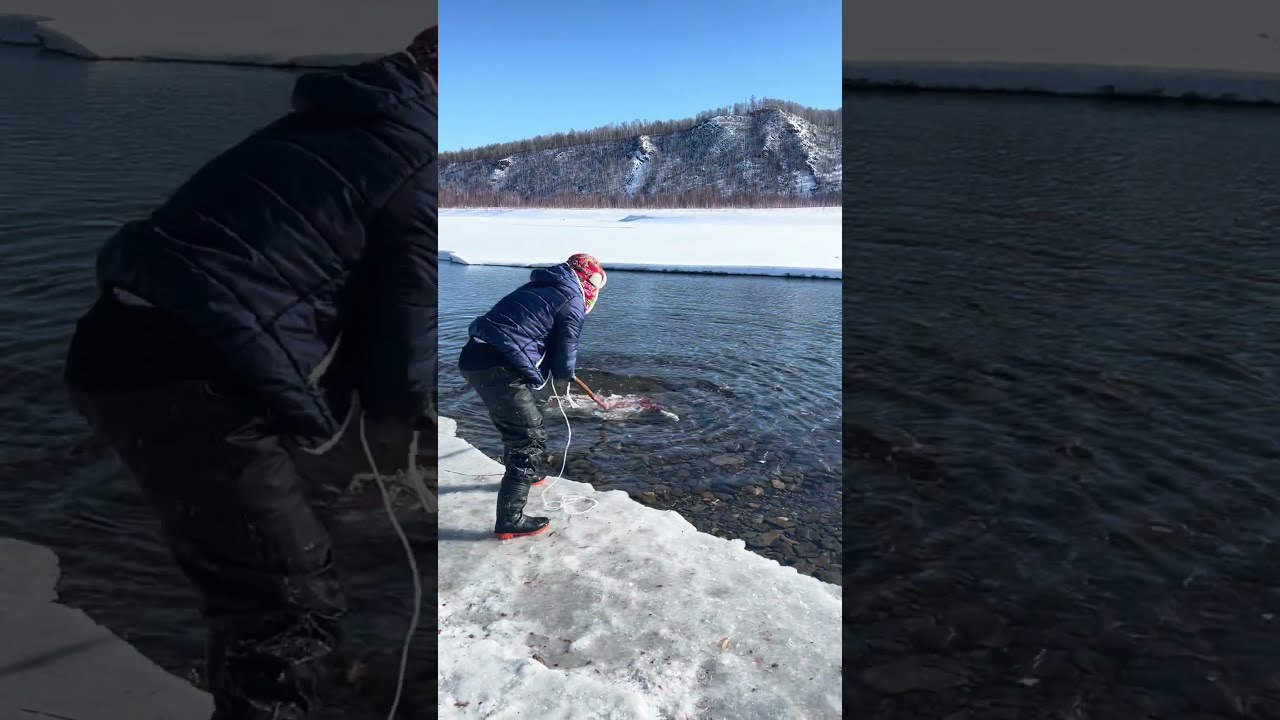 Fishing In Mohe The Northeast Joy Of Outdoor Wild Experiencex 398