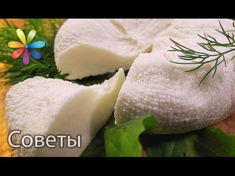 Индийский Сыр Панир в домашних условиях от Тани Литвиновой