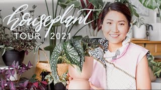 HOUSEPLANT TOUR 2020/ 2021 | Starting the year with my entire indoor plant collection