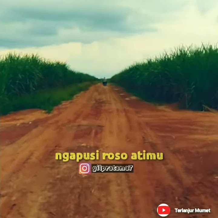Tanpo Tresnamu - Deny Caknan ( STORY WA/IG)
