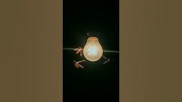 Nature whatsapp status (Slow Motion)