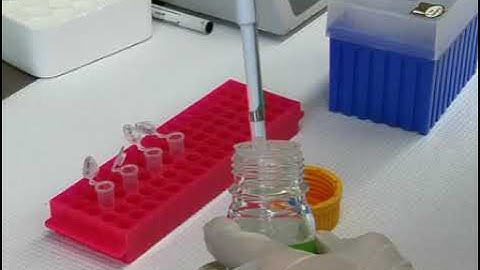 Reversible biotinylation for Measuring Plasma Membrane Protein Endocytic Rates